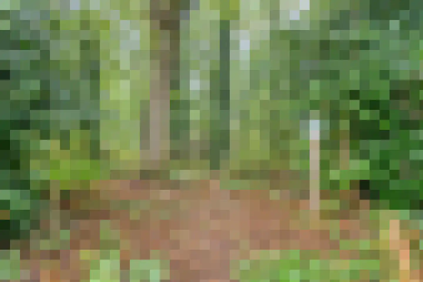Molenklefweg 3 Venray thumbnail 34