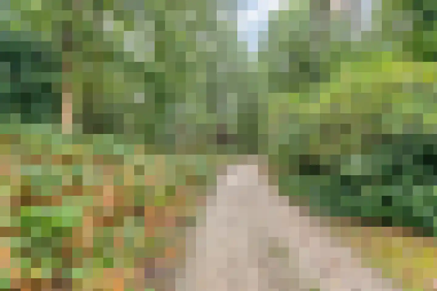 Molenklefweg 3 Venray thumbnail 35