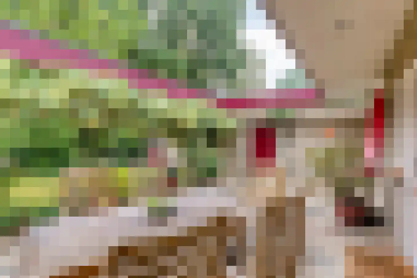 Molenklefweg 3 Venray thumbnail 4