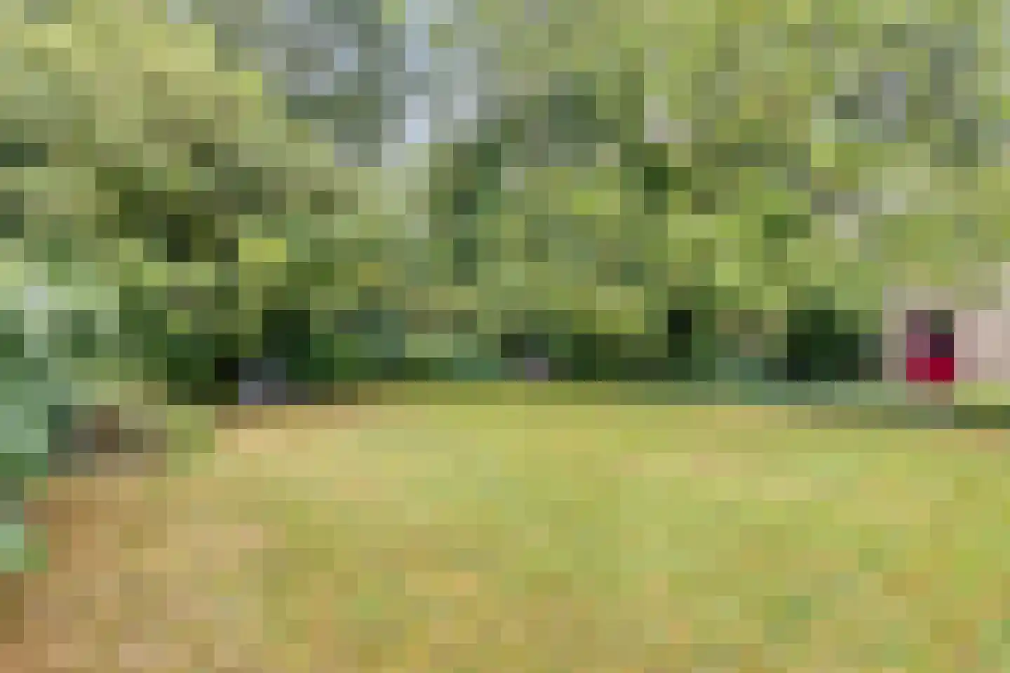 Molenklefweg 3 Venray thumbnail 5