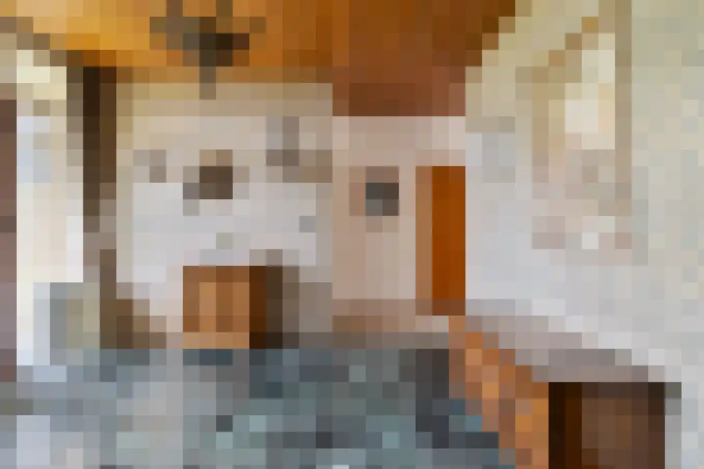 Molenklefweg 3 Venray thumbnail 8