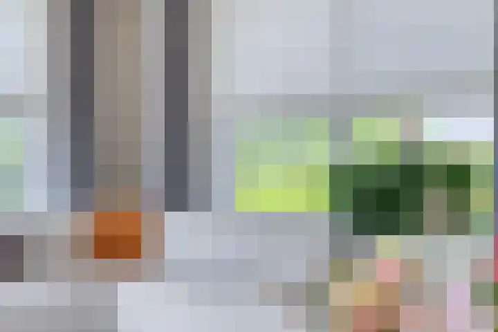 Molenkolk 37 Boskoop thumbnail 10