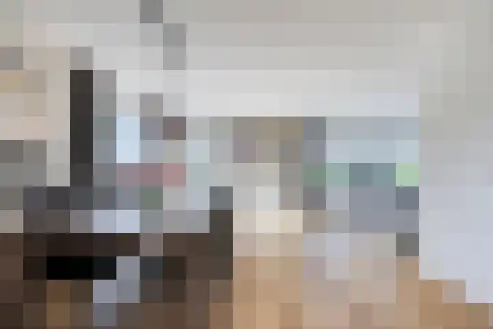 Molenkolk 37 Boskoop thumbnail 12