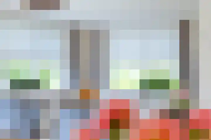 Molenkolk 37 Boskoop thumbnail 13