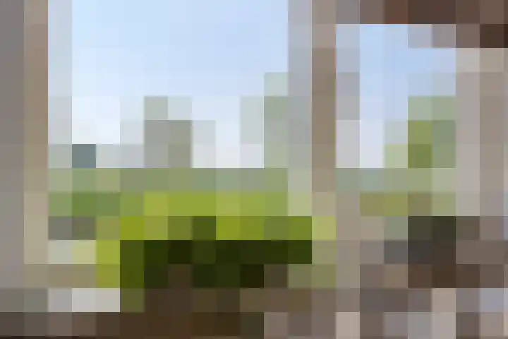 Molenkolk 37 Boskoop thumbnail 16