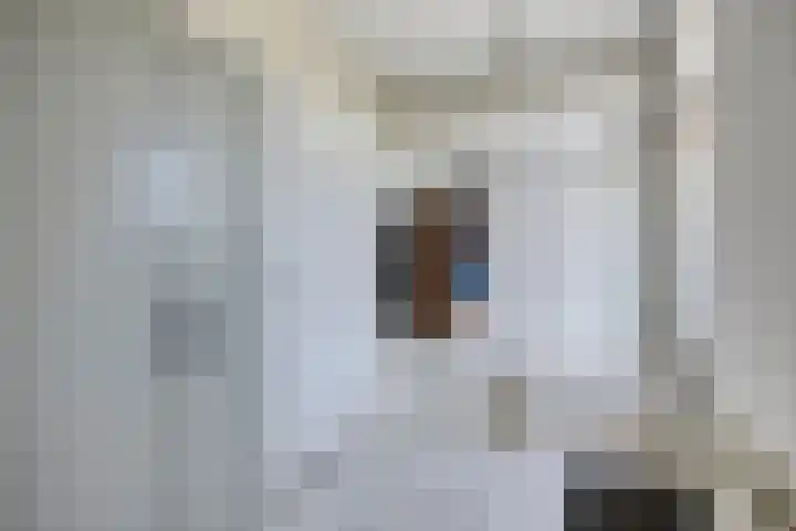 Molenkolk 37 Boskoop thumbnail 18