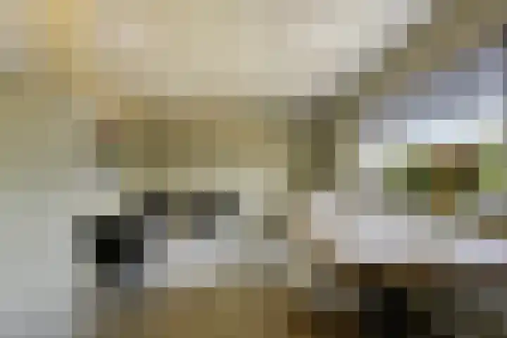 Molenkolk 37 Boskoop thumbnail 19