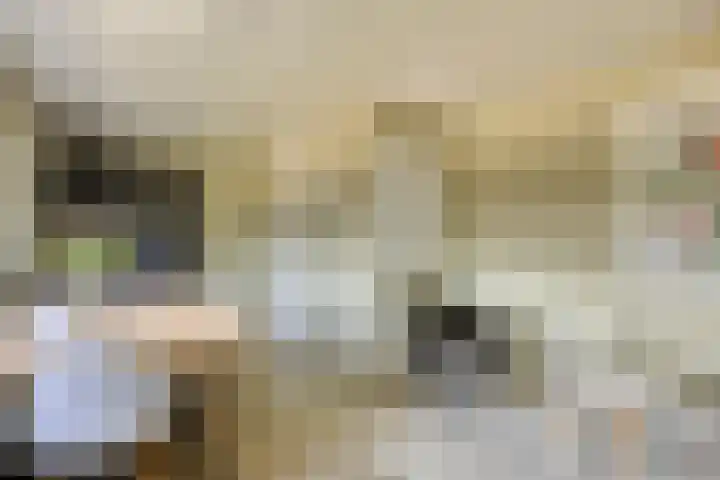 Molenkolk 37 Boskoop thumbnail 20