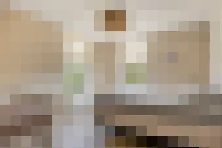 Molenkolk 37 Boskoop thumbnail 21