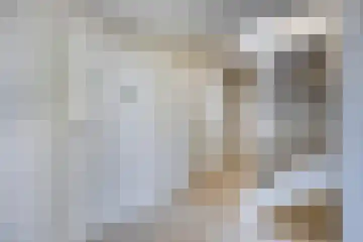 Molenkolk 37 Boskoop thumbnail 23