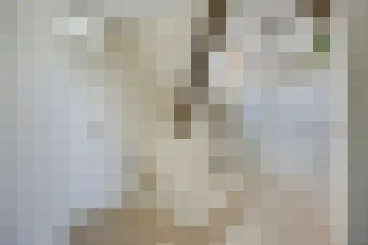 Molenkolk 37 Boskoop thumbnail 24
