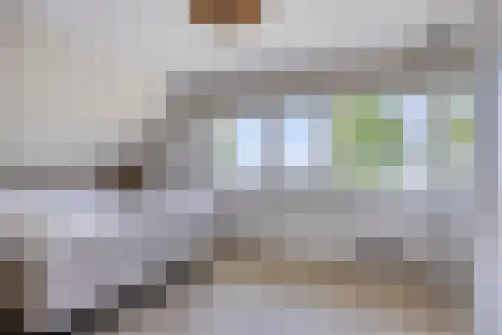 Molenkolk 37 Boskoop thumbnail 25