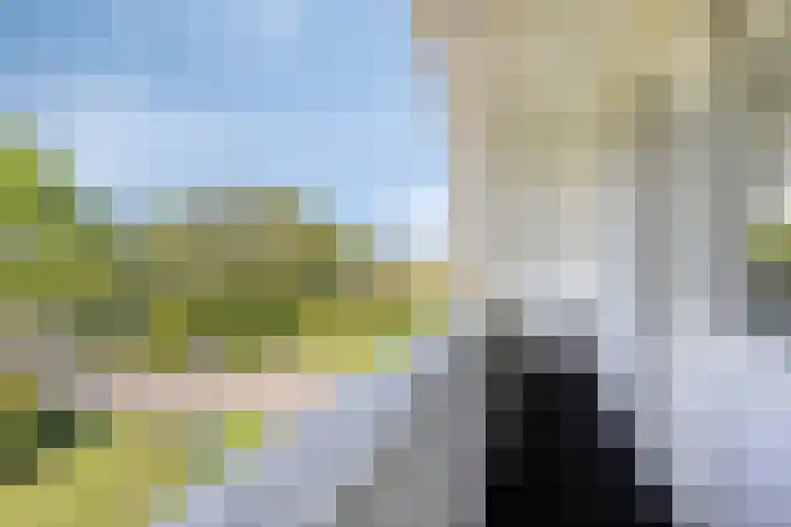 Molenkolk 37 Boskoop thumbnail 26