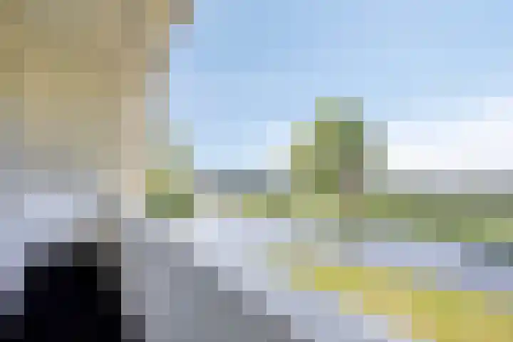 Molenkolk 37 Boskoop thumbnail 27