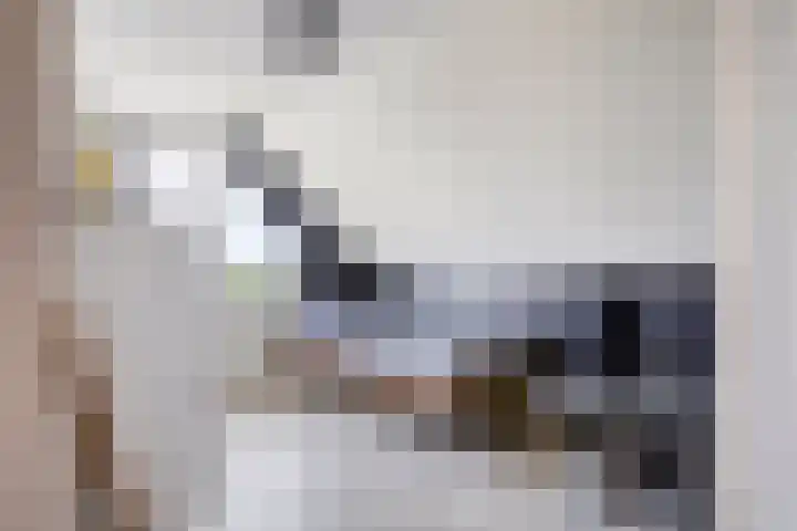 Molenkolk 37 Boskoop thumbnail 30