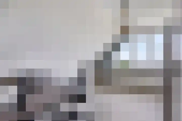 Molenkolk 37 Boskoop thumbnail 31