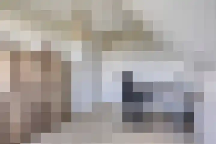 Molenkolk 37 Boskoop thumbnail 32
