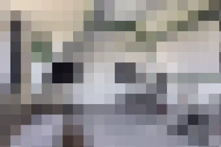 Molenkolk 37 Boskoop thumbnail 33