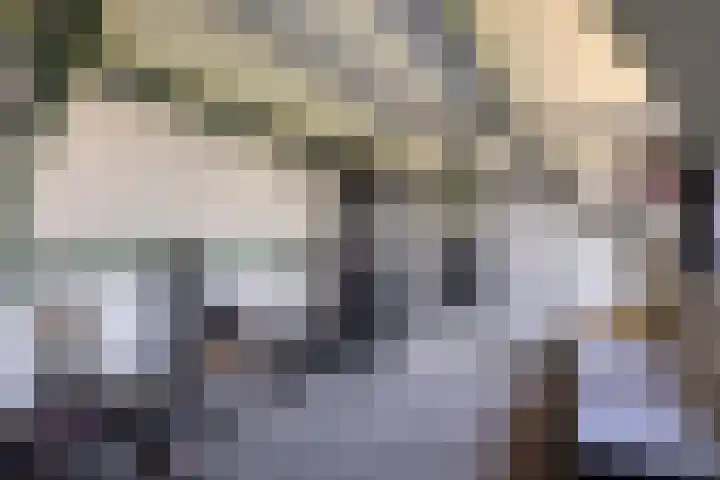 Molenkolk 37 Boskoop thumbnail 34