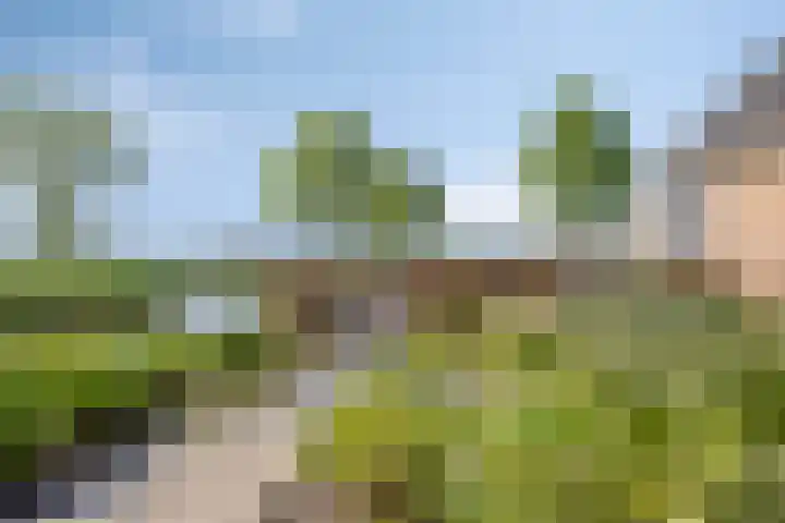 Molenkolk 37 Boskoop thumbnail 38