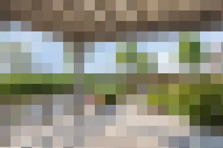 Molenkolk 37 Boskoop thumbnail 39