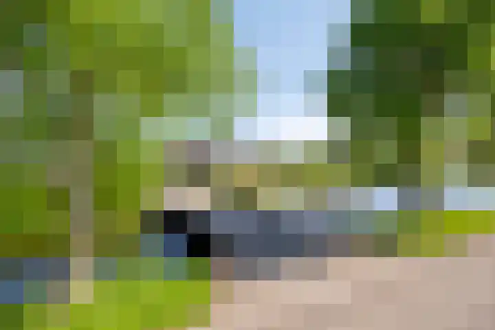 Molenkolk 37 Boskoop thumbnail 4