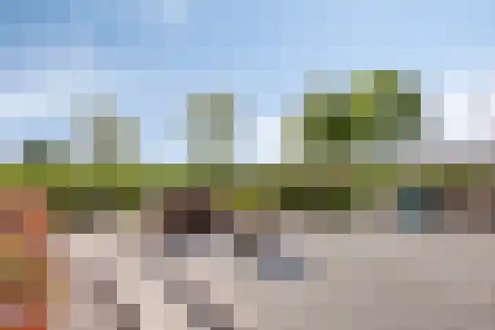 Molenkolk 37 Boskoop thumbnail 41