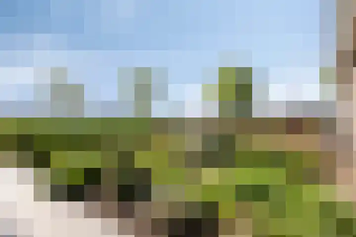 Molenkolk 37 Boskoop thumbnail 43