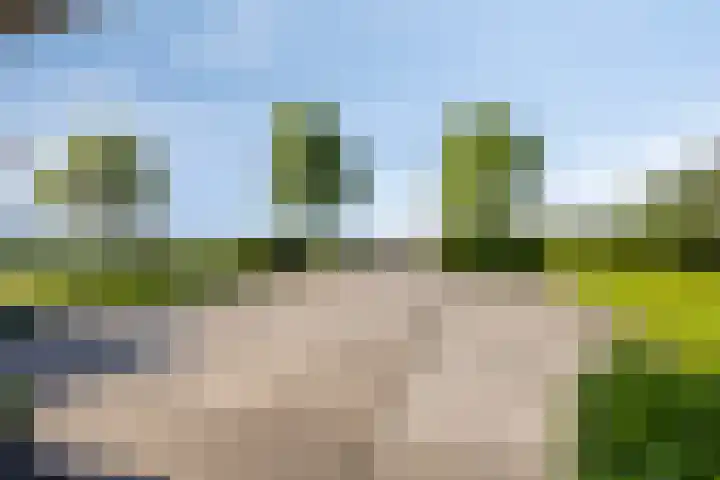 Molenkolk 37 Boskoop thumbnail 46