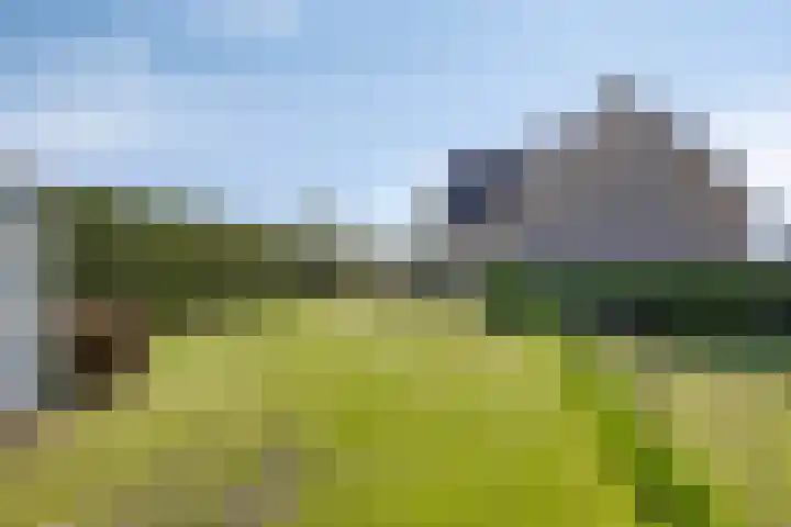 Molenkolk 37 Boskoop thumbnail 47