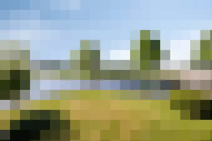 Molenkolk 37 Boskoop thumbnail 49