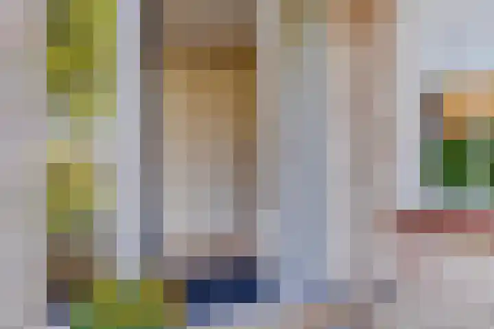 Molenkolk 37 Boskoop thumbnail 5