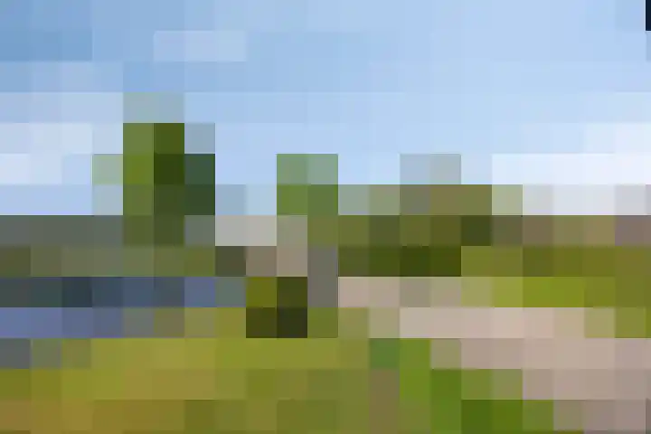 Molenkolk 37 Boskoop thumbnail 50