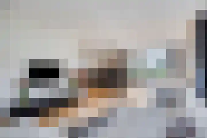 Molenkolk 37 Boskoop thumbnail 8