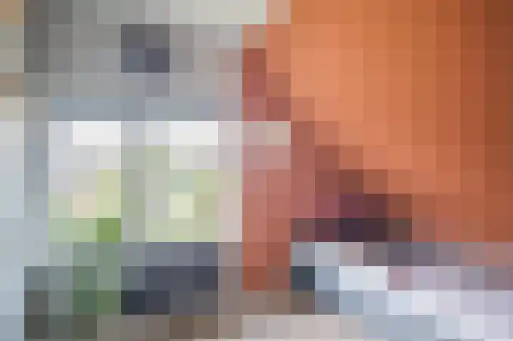 Molenkolkweg 13 Steenderen thumbnail 25