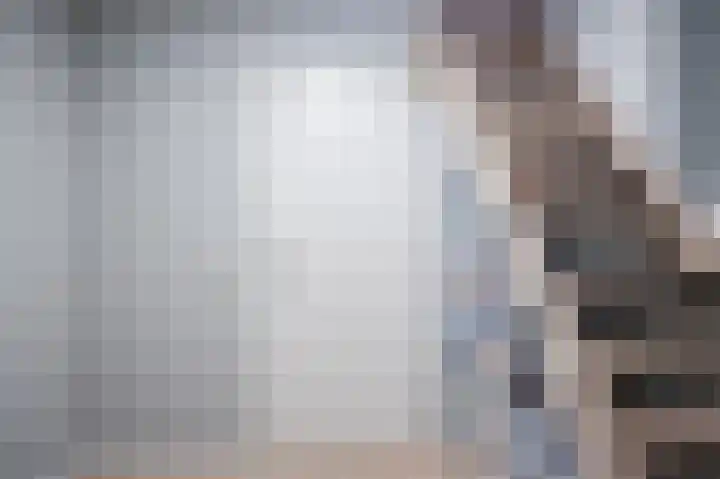 Molenkolkweg 13 Steenderen thumbnail 39