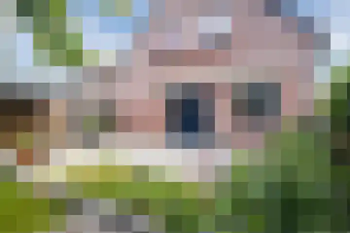 Molenkolkweg 13 Steenderen thumbnail 4