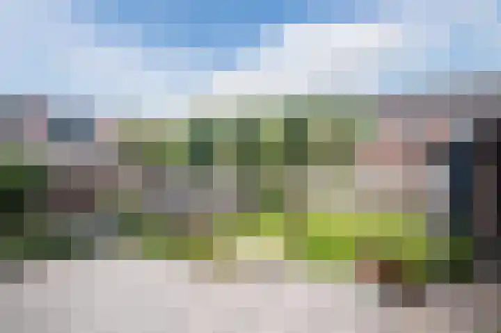 Molenkolkweg 13 Steenderen thumbnail 47