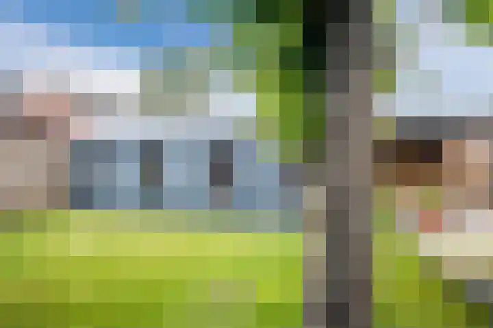 Molenkolkweg 13 Steenderen thumbnail 50