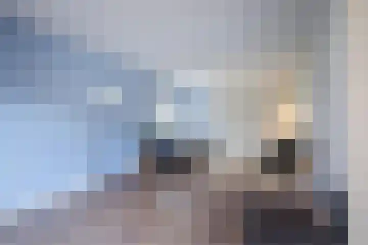 Molenkolkweg 13 Steenderen thumbnail 8