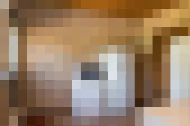 Molenkolkweg 8 Steenderen thumbnail 18