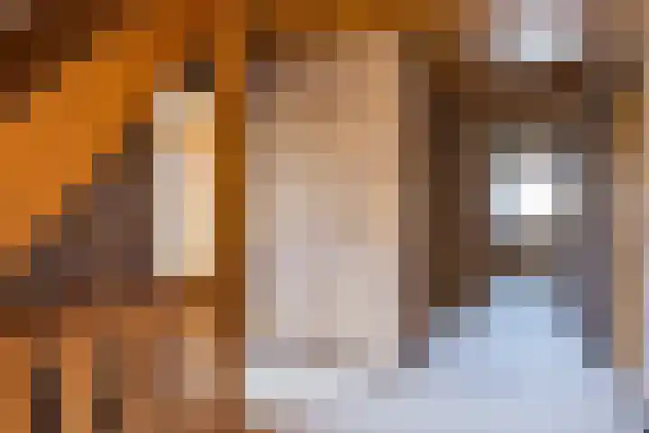 Molenkolkweg 8 Steenderen thumbnail 19