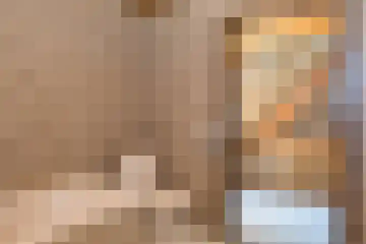 Molenkolkweg 8 Steenderen thumbnail 28
