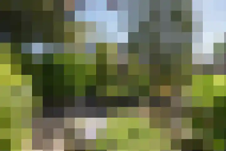 Molenkolkweg 8 Steenderen thumbnail 32