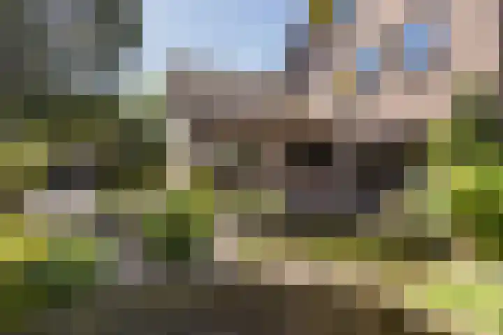 Molenkolkweg 8 Steenderen thumbnail 33