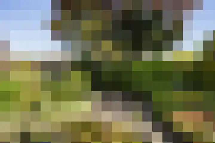Molenkolkweg 8 Steenderen thumbnail 34