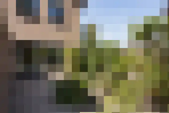 Molenkolkweg 8 Steenderen thumbnail 35