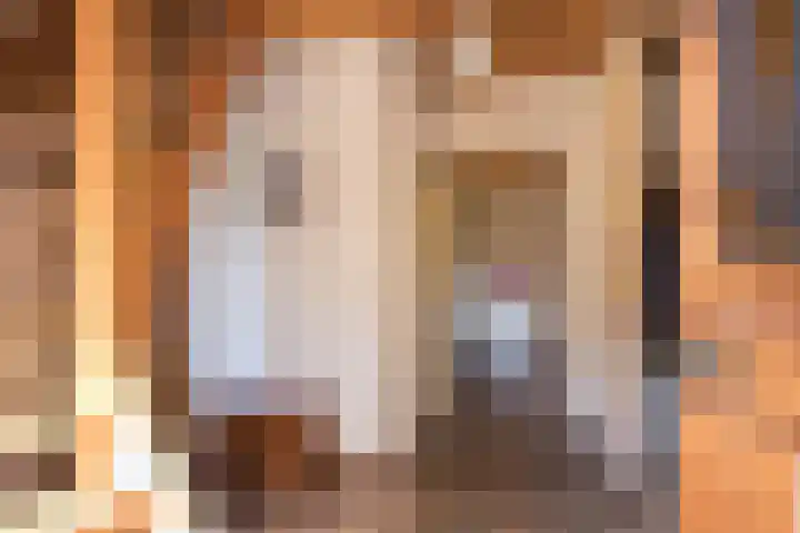 Molenkolkweg 8 Steenderen thumbnail 5