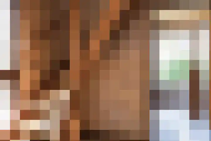 Molenkolkweg 8 Steenderen thumbnail 6