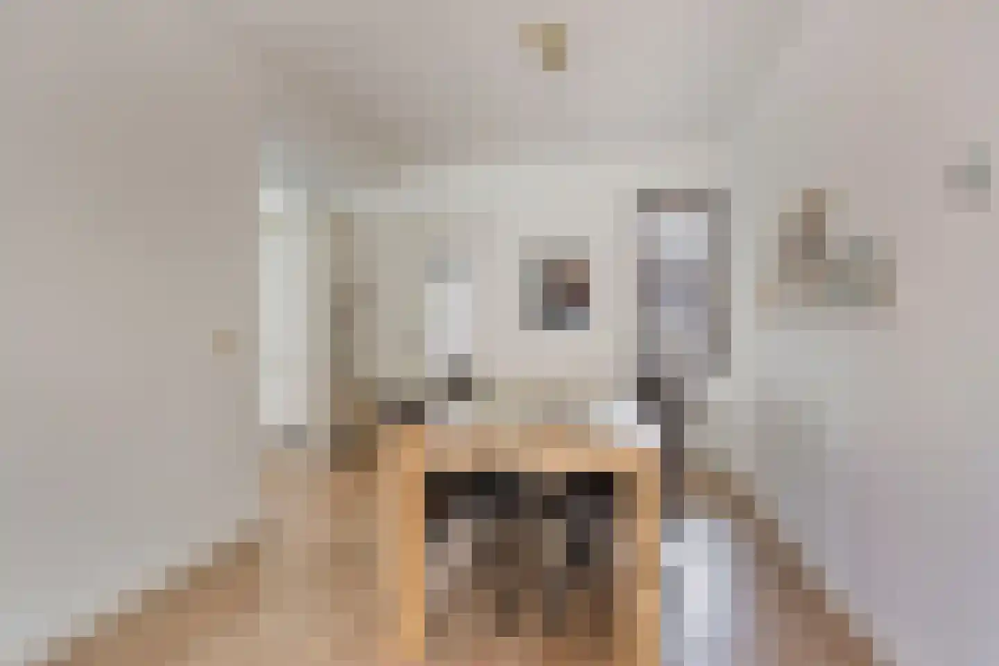 Molenkreek 13 Zwolle thumbnail 14